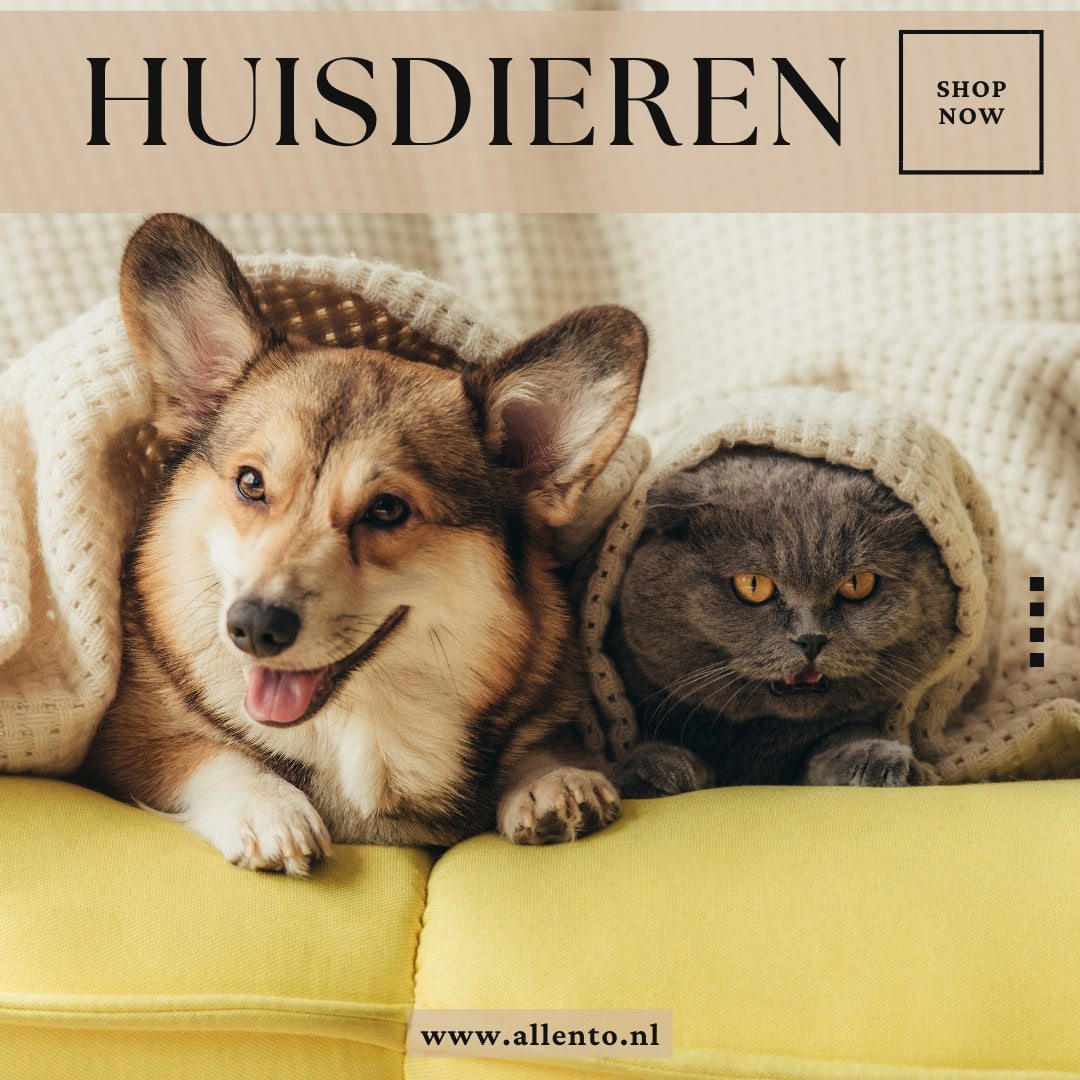 Huisdieren